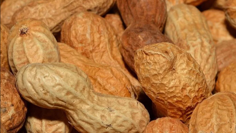 Why Peanuts Can Be a Smart Nutritional Choice for Older Adults
